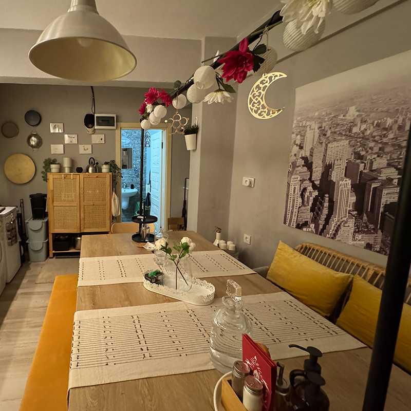 IKEA-hakan ozturk evi 2