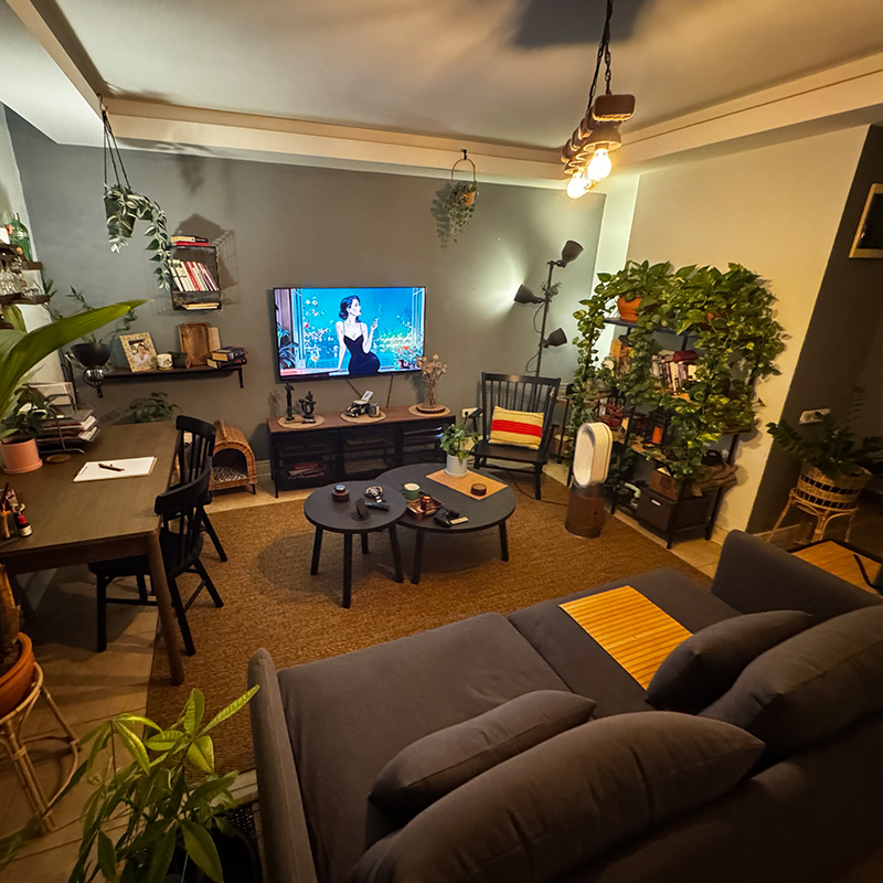IKEA-taner demiray evi
