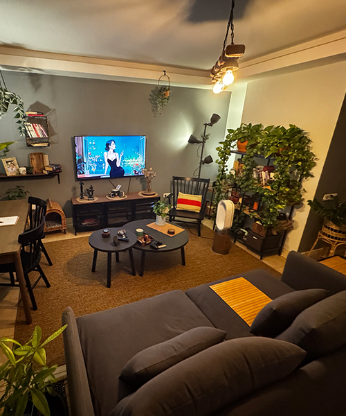 IKEA-ozge oztekin evi kapak 2