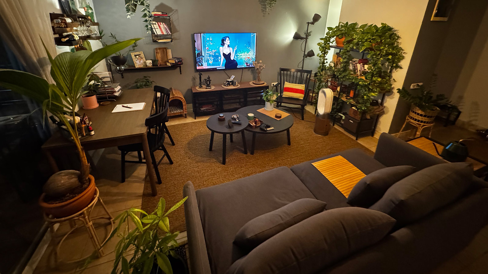 IKEA-taner demiray evi