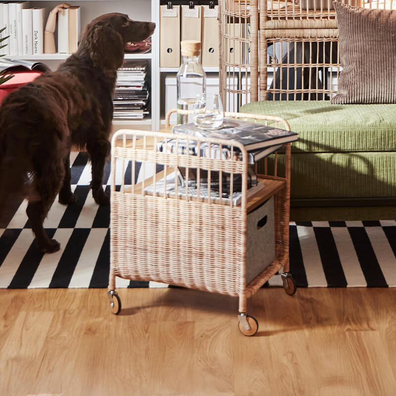 IKEA-fryksas rattan keson 01