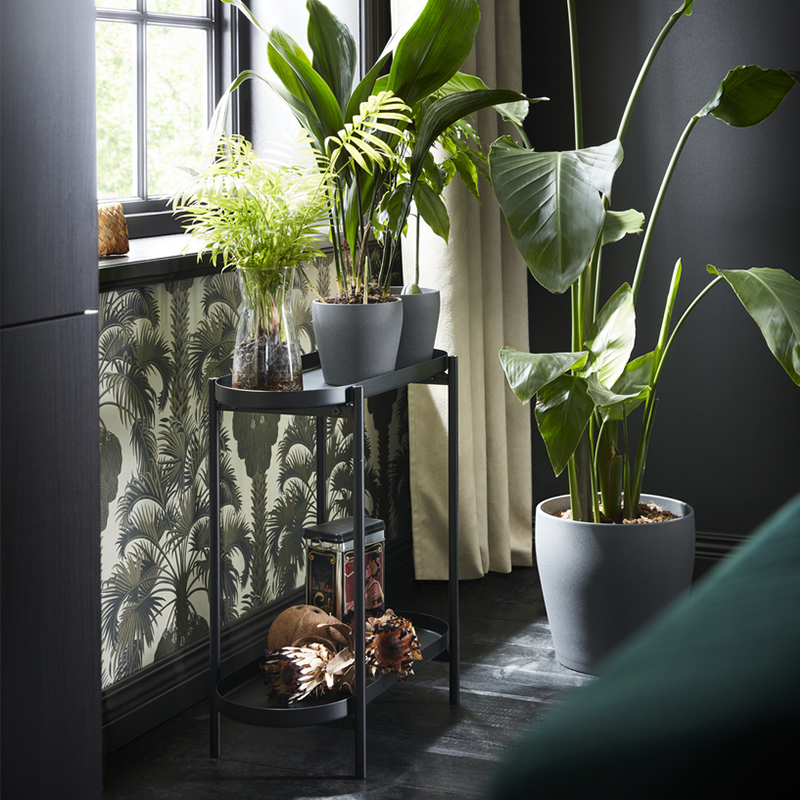 IKEA-olivblad ciceklik 1