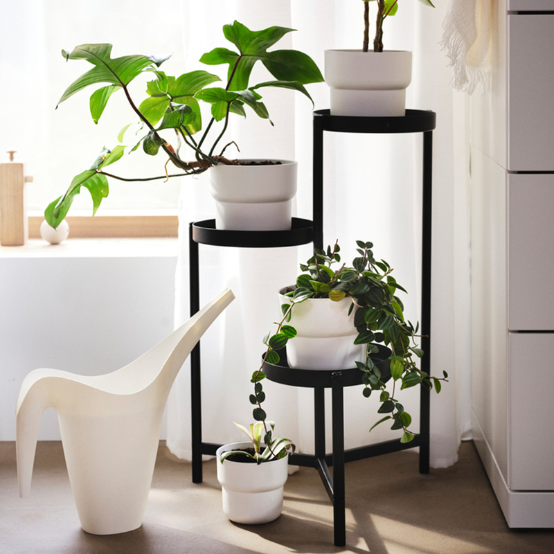 IKEA-olivblad ciceklik