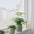 IKEA - GLACIARBJÖRN, concrete plant pot, light green, 12 cm
