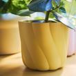 IKEA - DOFTRIPS, concrete plant pot, dark yellow, 12 cm