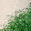 IKEA - IKEA PS 2026, large rug, green-off white, 200x266 cm