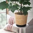 IKEA - TARNMAS, rattan saksı, bej-siyah, 15 cm