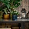 IKEA - HONUNGSPALM, stoneware plant pot, blue, 12 cm
