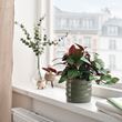IKEA - HASSELBUKETT, stoneware plant pot, green, 9 cm