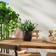 IKEA - BROKTRAST, steel plant pot, dark grey, 12 cm