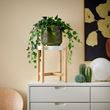 IKEA - HONUNGSPALM, seramik saksı, yeşil, 19 cm