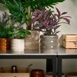 IKEA - HASSELBUKETT, stoneware plant pot, grey, 15 cm