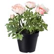 IKEA - FEJKA, artificial plant, pink, 12 cm