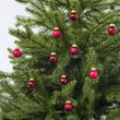 IKEA - VINTERFINT, tree ornament, red, 2 cm