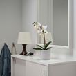 IKEA - FEJKA, artificial plant, white, 9 cm