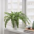 IKEA - FEJKA, artificial plant, green, 15 cm