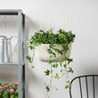 IKEA - APPELROS, hanging planter, off white, 27 cm