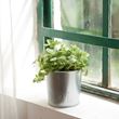 IKEA - AKERBAR, steel plant pot, galvanised, 9 cm