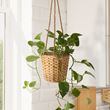 IKEA - FRIDFULL, hanging planter, water hyacinth, 12 cm