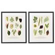 IKEA - KNOPPANG, picture with frame set, multicolour, 40x50 cm