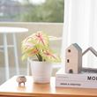 FEJKA, artificial plant, green, 9 cm