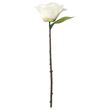 IKEA - SMYCKA, artificial flower, white, 28 cm