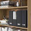 IKEA - FJADERHARV, dosyalık, antrasit
