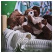 IKEA - SKOGSDUVA, soft toy, brown/beige, 45 cm