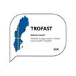 TROFAST, storage box cover, 40x28 cm