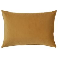 yellow-brown