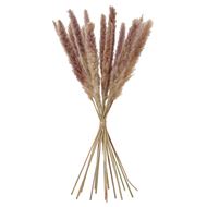 reed