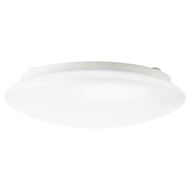 ceiling lamp