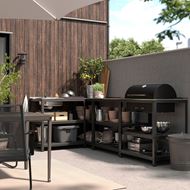 kitchen sink unit and charcoal barbecue