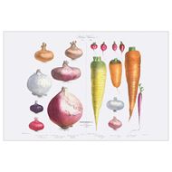 Onions, radishes and carrots