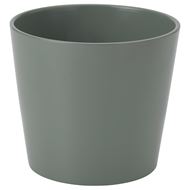 15 cm