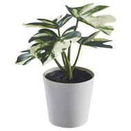 artificial potted plant with pot