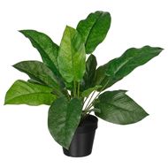 artificial plant