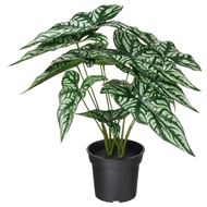 artificial plant