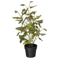 artificial plant