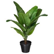 artificial plant
