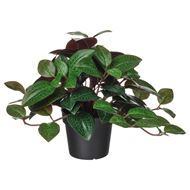 artificial plant