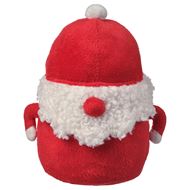 Santa Claus
