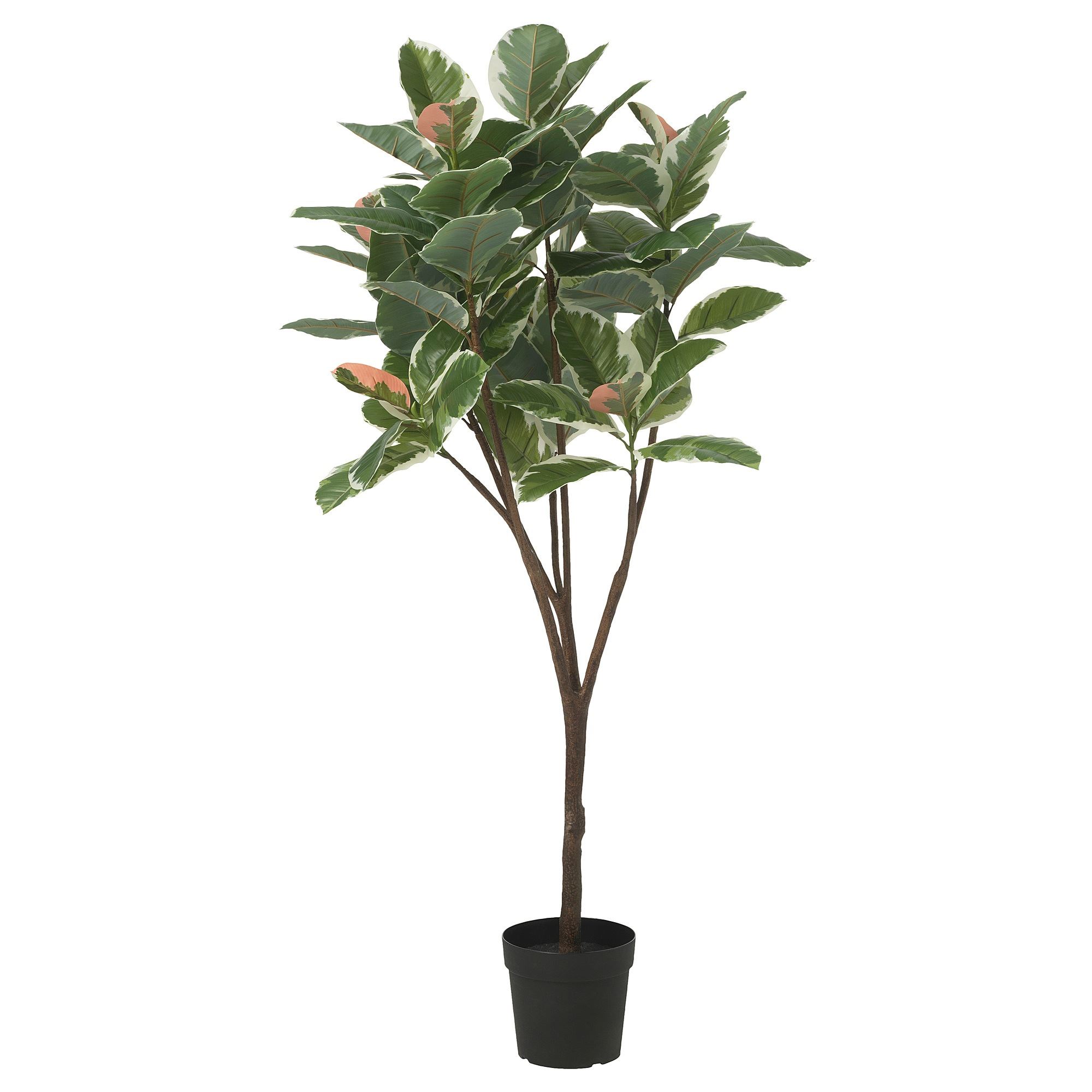 Mt.fuji.plants　NOVAエルメス　子株 FEJKA green 23 cm artificial plant - 60548313 | IKEA