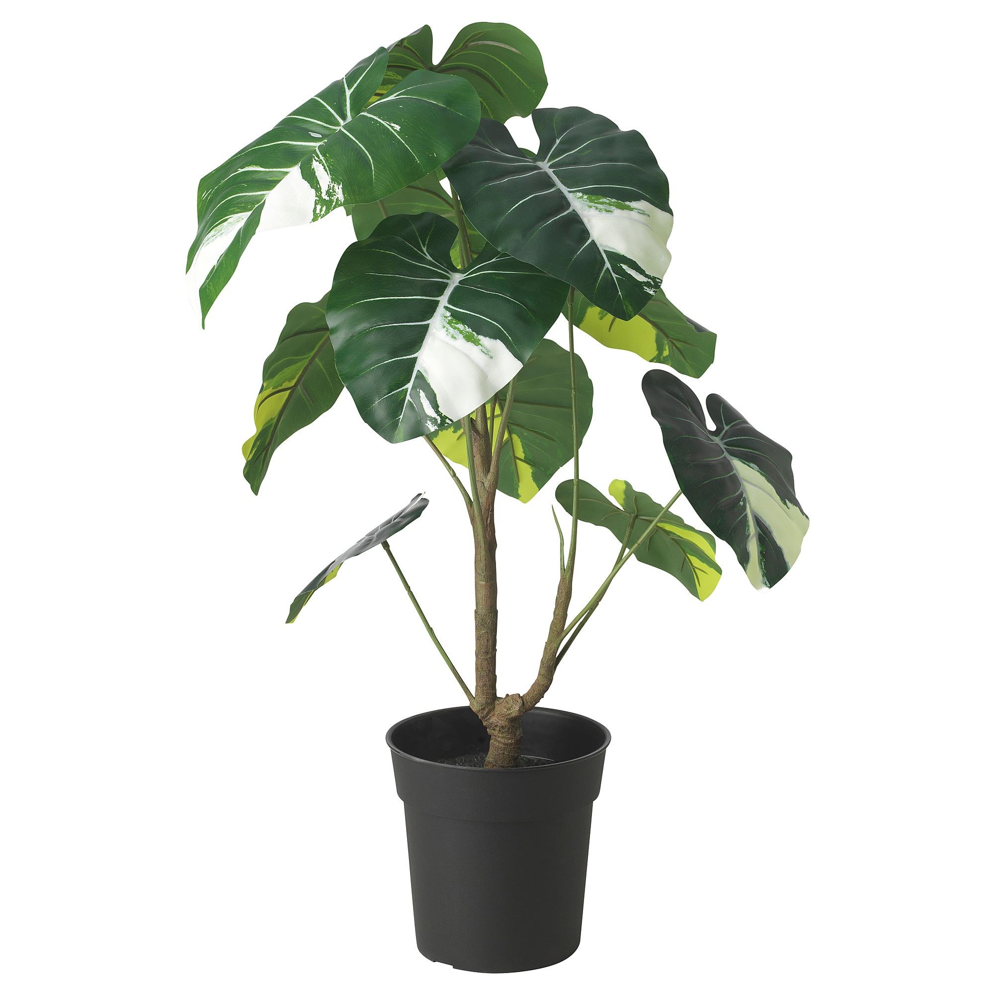 FEJKA green 19 cm artificial plant - 30559954 | IKEA