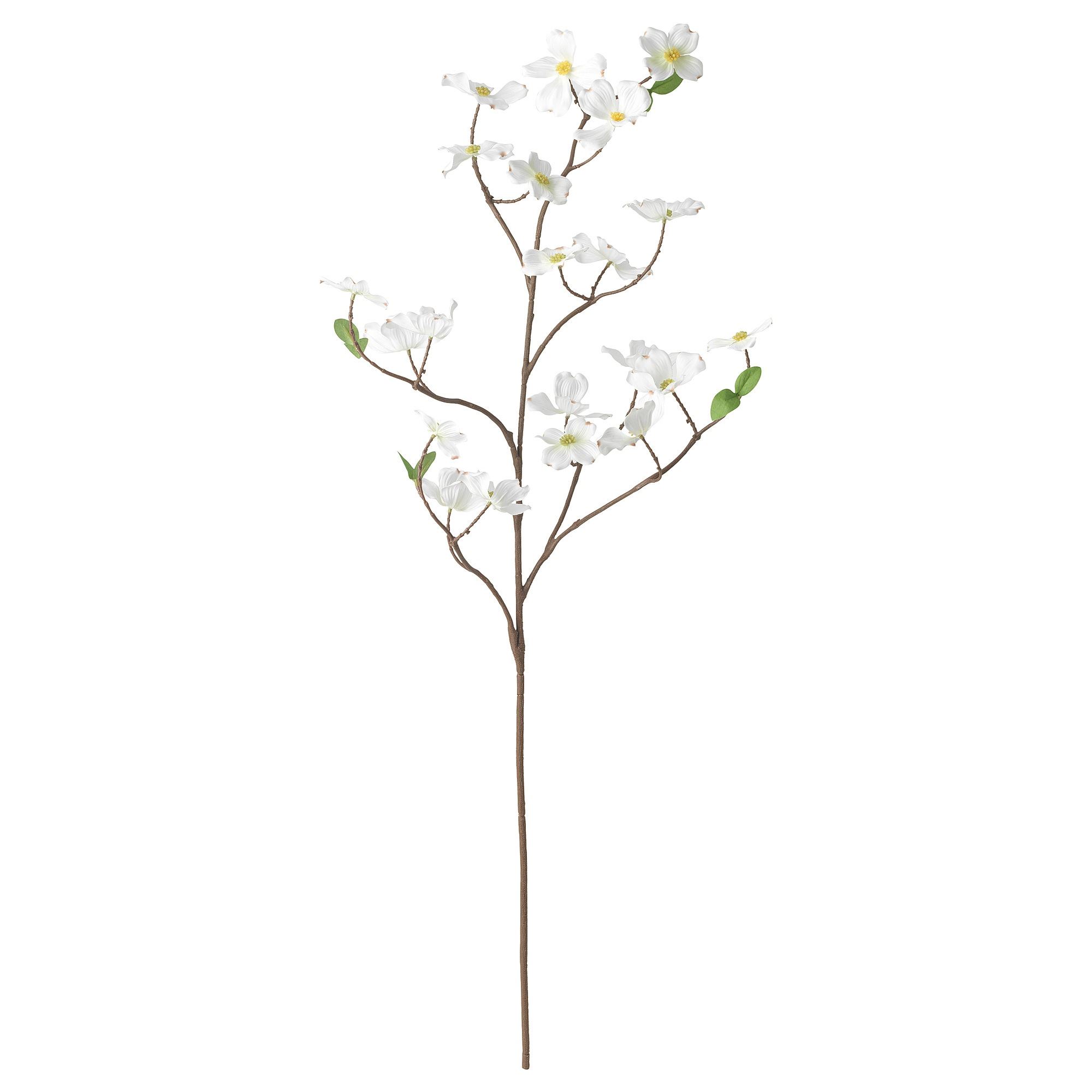 【新品未使用】alexiastam Bianca Leafy Flow Bianca Blooming Lovers | ALEXIA STAM