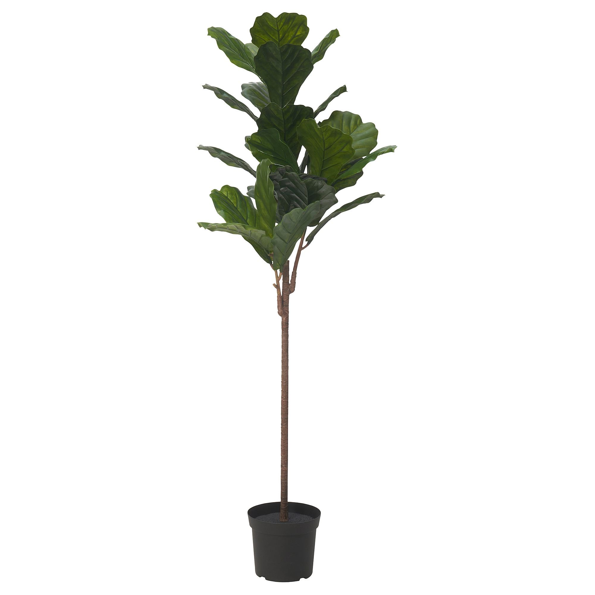 FEJKA green 19 cm artificial plant - 80568890 | IKEA