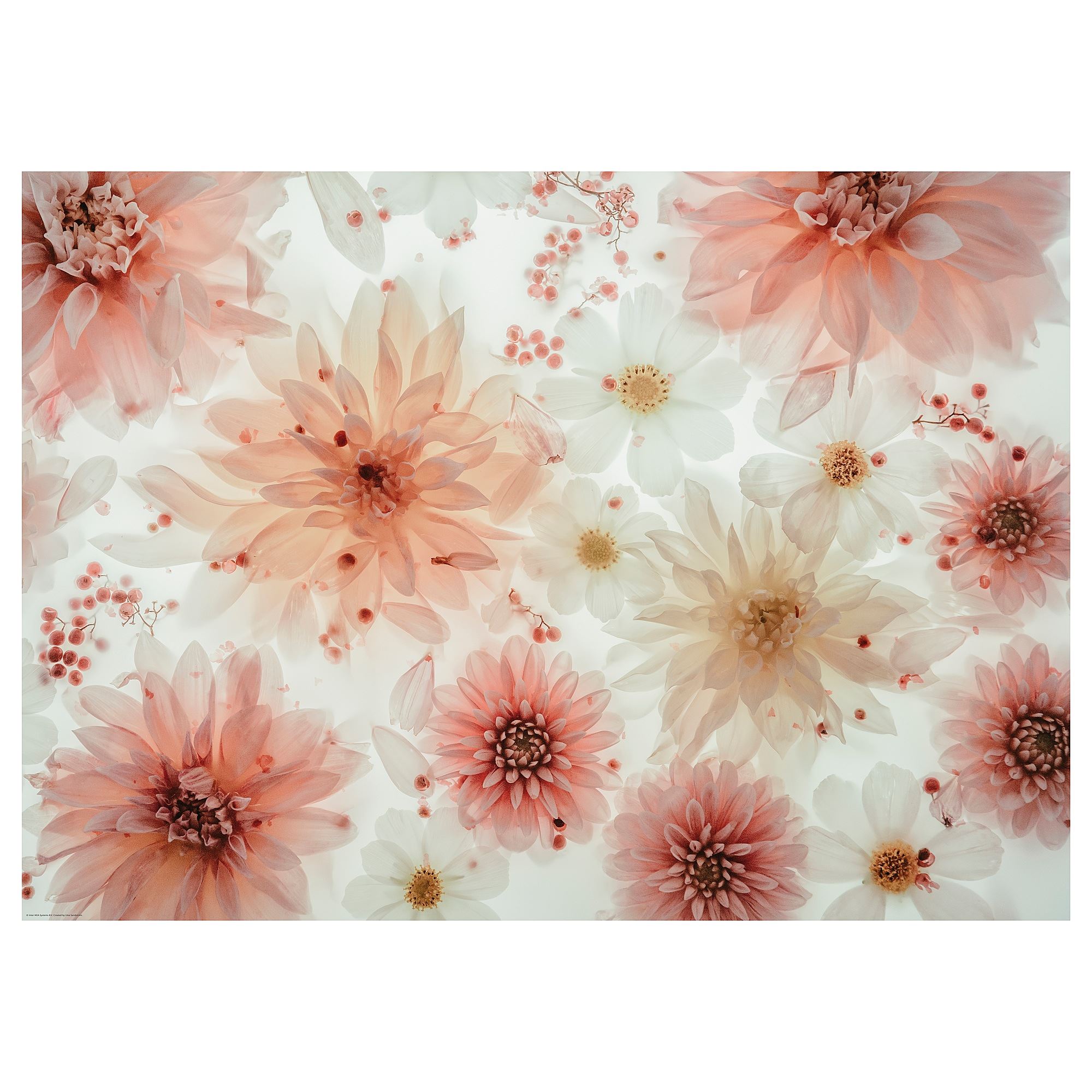 BILD multicolour 70x50 cm poster - 70578880 | IKEA