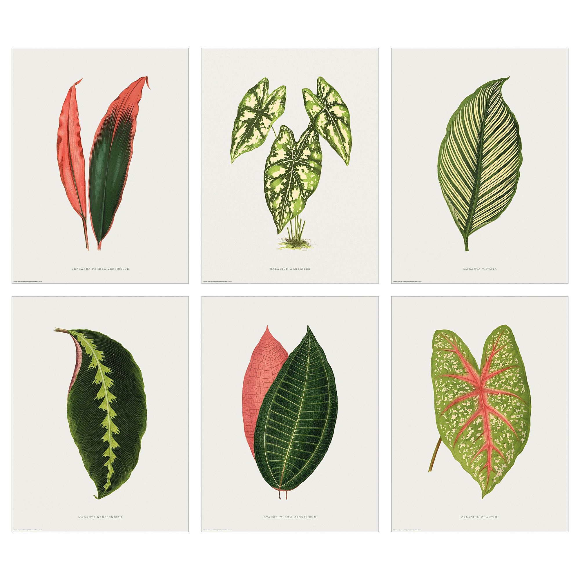 BILD multicolour 30x40 cm poster - 30571239 | IKEA