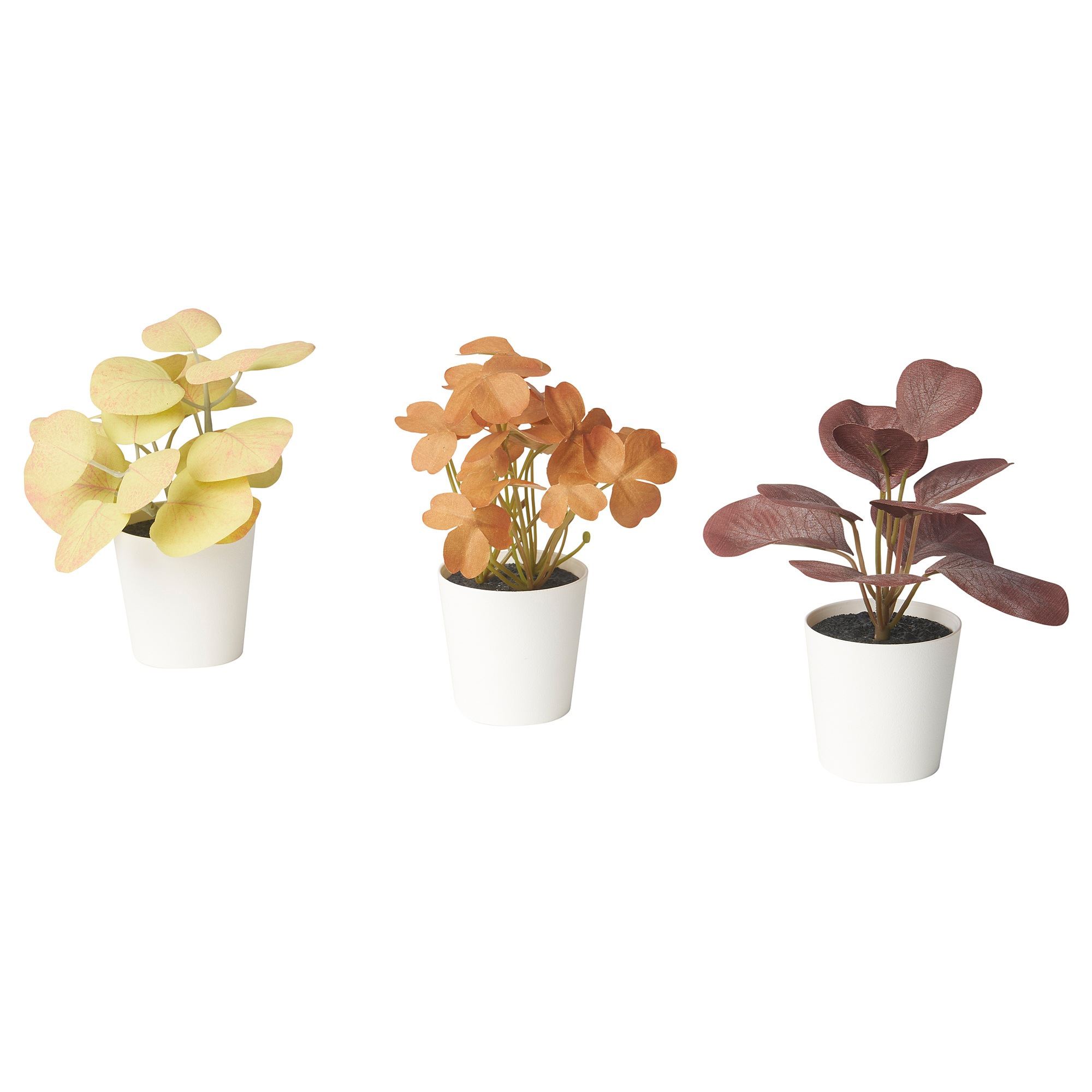 FEJKA brown 6 cm artificial plant - 00601469 | IKEA