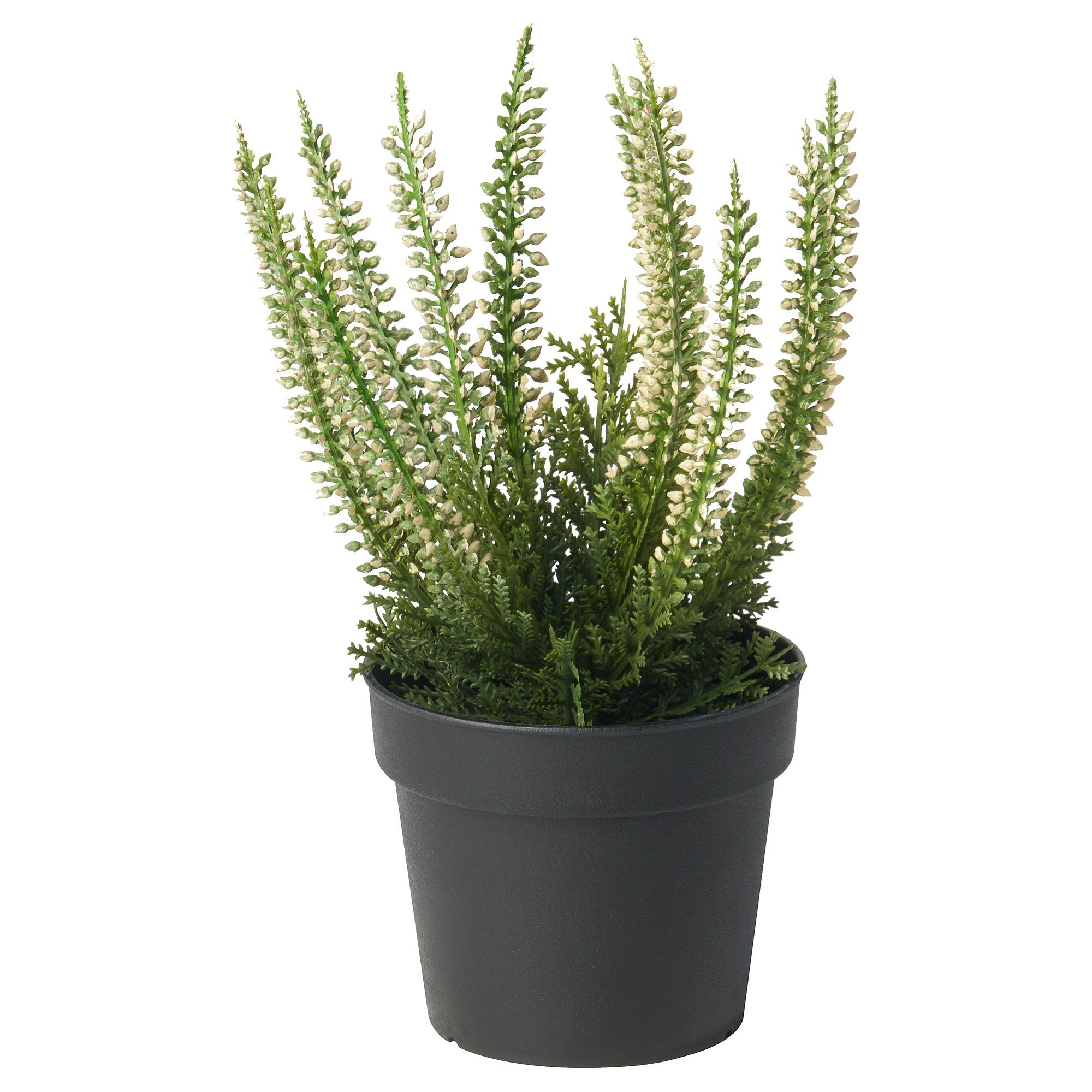 FEJKA green 9 cm artificial plant - 70582504 | IKEA